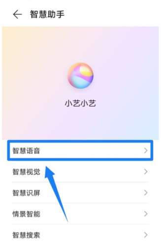 人工少女3中文语音设置教程，轻松搞定语音问题
