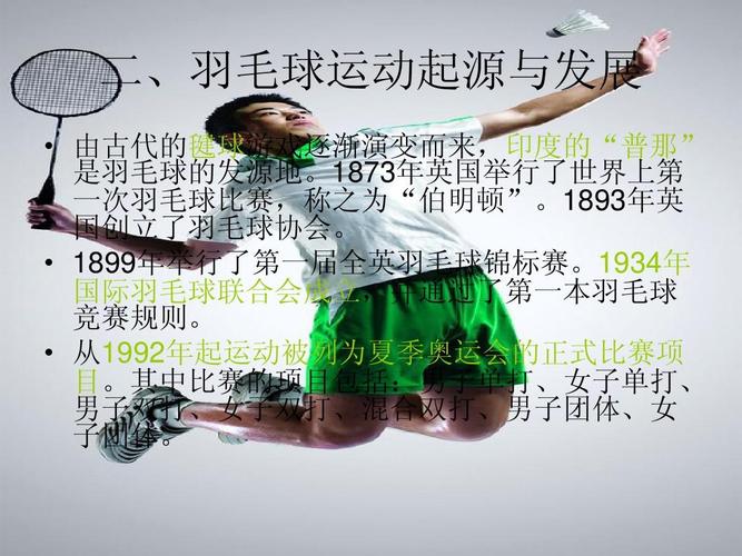为什么羽毛球是16根羽毛而不是其他数量？深度解析