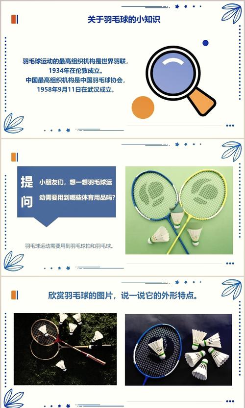 为什么羽毛球是16根羽毛而不是其他数量？深度解析