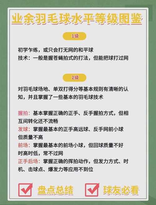 为什么羽毛球是16根羽毛而不是其他数量？深度解析