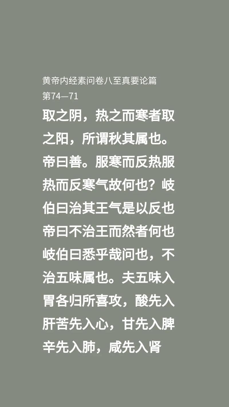 探秘素问何问：小说作者及其作品赏析