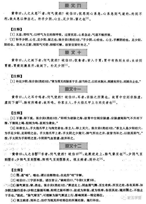 探秘素问何问：小说作者及其作品赏析