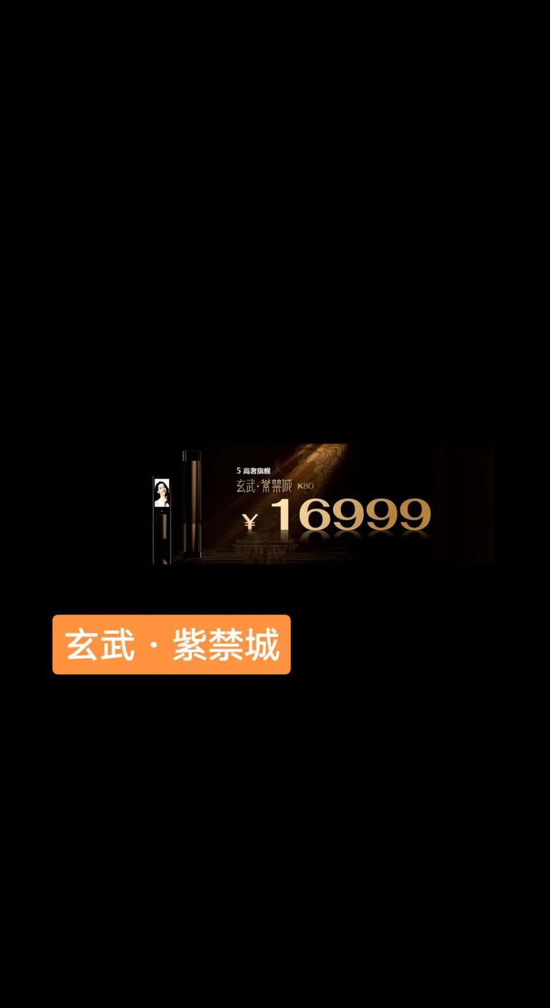 玄武官网：便捷入口，快速访问，官方信息