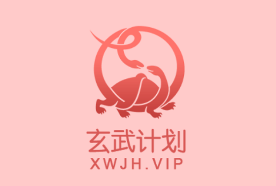 玄武官网：便捷入口，快速访问，官方信息