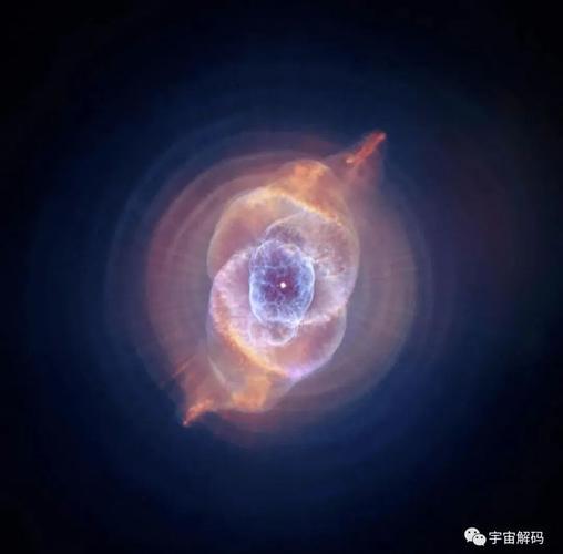 星蛋是什么？揭秘宇宙中的神秘孵化体