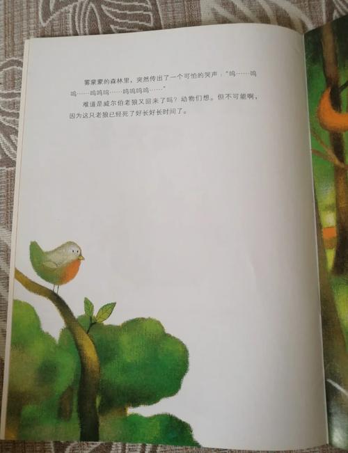 猫头鹰的困境与拯救：我们能做什么