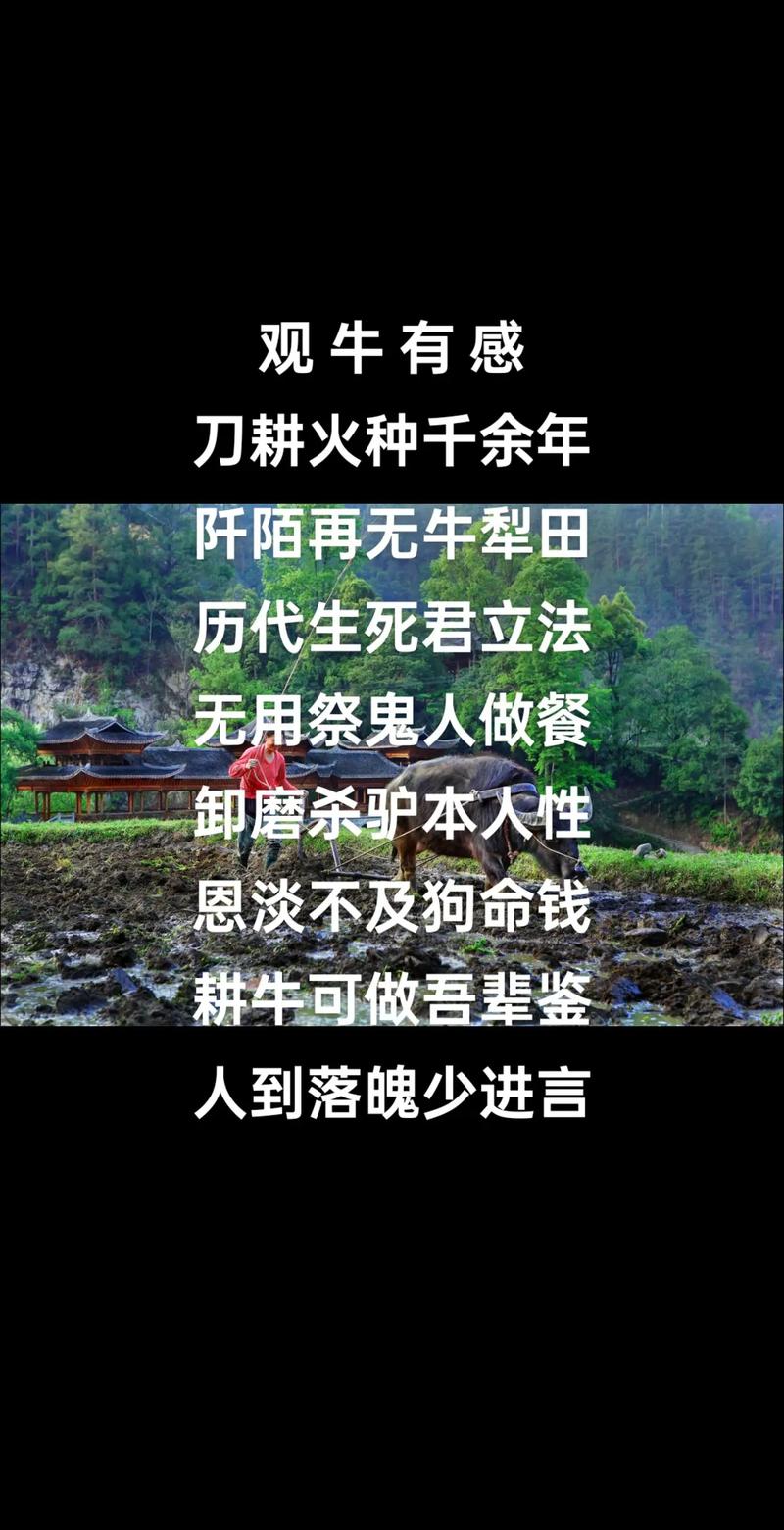宰牛刀：杀鸡用牛刀？这背后有什么玄机？