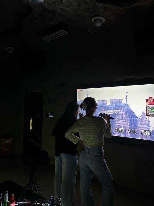 KTV必玩游戏合集：简单易学，聚会必备，轻松活跃气氛！