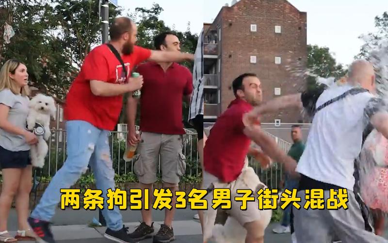 街头混战：令人震惊的街头斗殴事件大揭秘