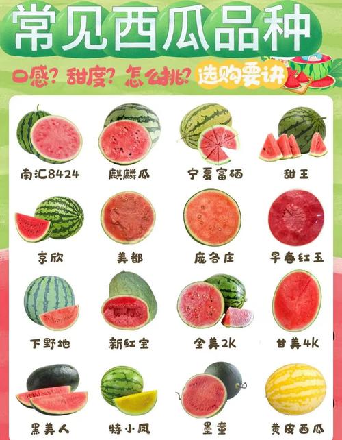 西瓜和山楂含糖量对比：你想知道的都在这里
