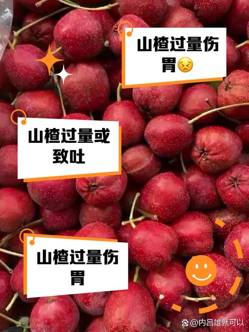 山楂木的药用价值及使用方法，看完你就懂了