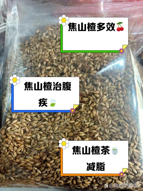 山楂木的药用价值及使用方法，看完你就懂了