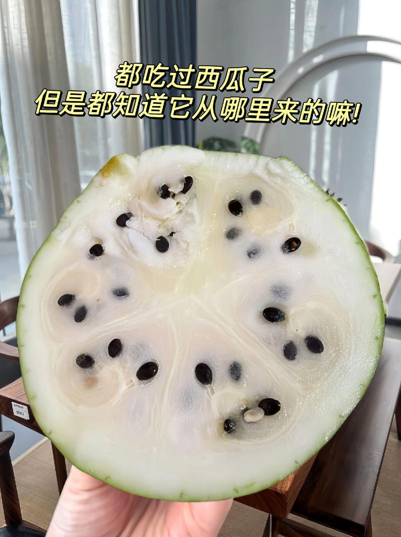 西瓜子是西瓜籽吗？那些嗑的瓜子是西瓜里的籽吗？