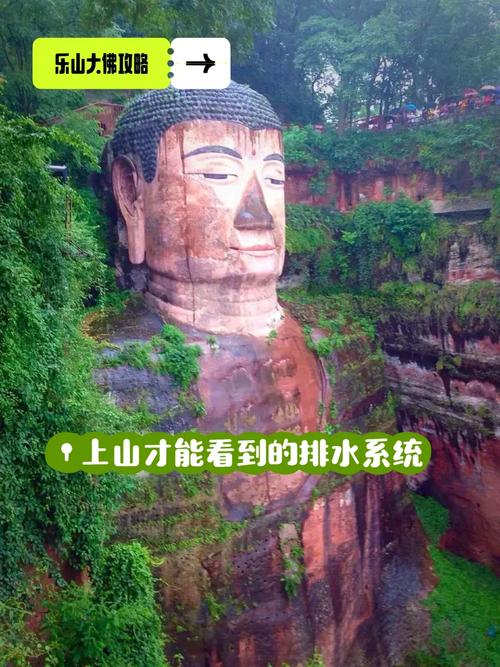 蚂蚁庄园今日题目：乐山大佛发髻是排水系统吗？