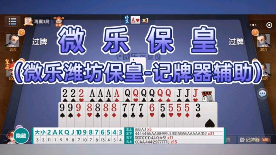 单机保皇游戏推荐：保皇单机版，经典玩法，轻松上手