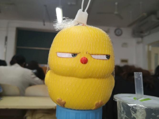 解压神器口袋上帝：随心所欲，掌控你的小岛人生！