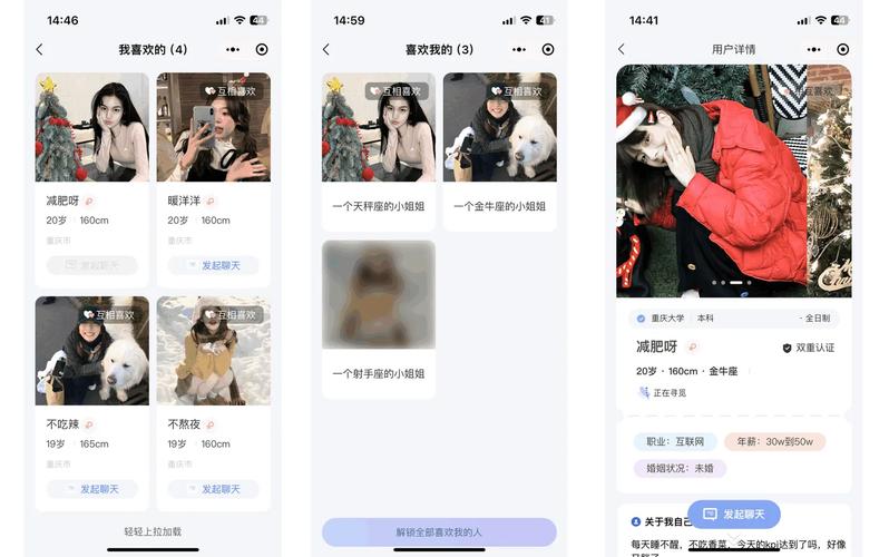 开源聊天系统推荐：轻松上手，快速搭建你的专属聊天室