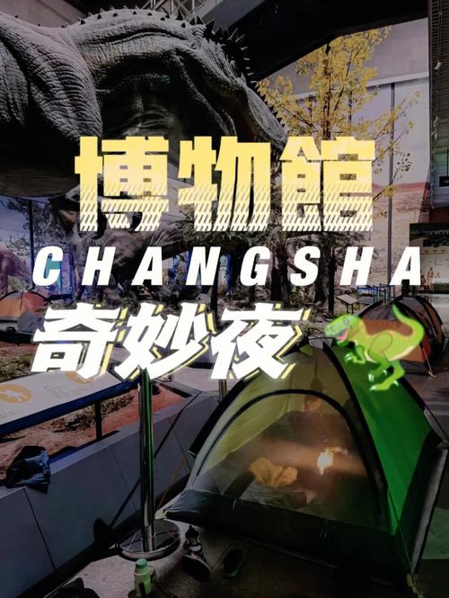 想玩博物馆奇妙夜？这里提供快速下载方法