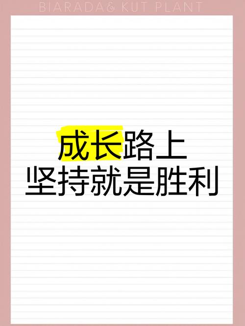 冠军之路：通往巅峰的挑战与坚持