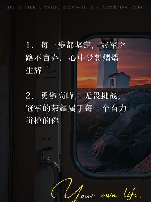 冠军之路：通往巅峰的挑战与坚持