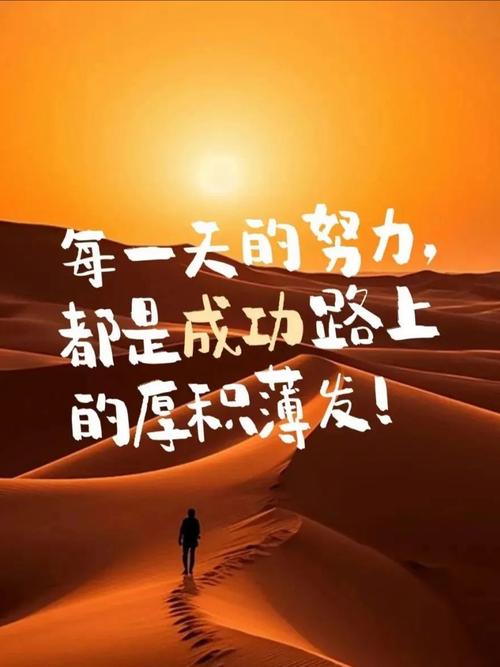 冠军之路：通往巅峰的挑战与坚持