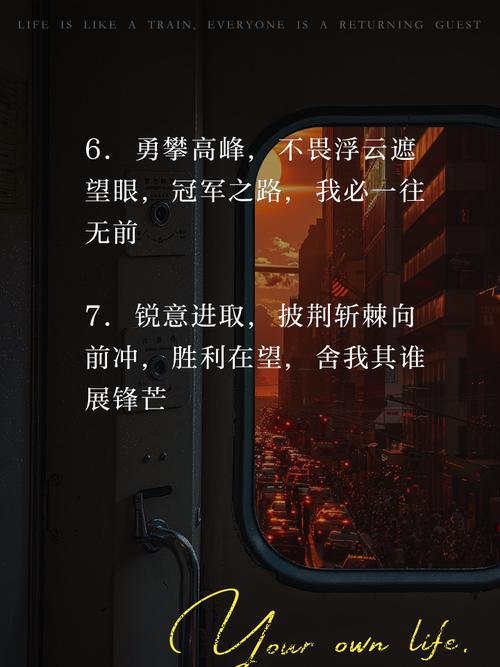 冠军之路：通往巅峰的挑战与坚持