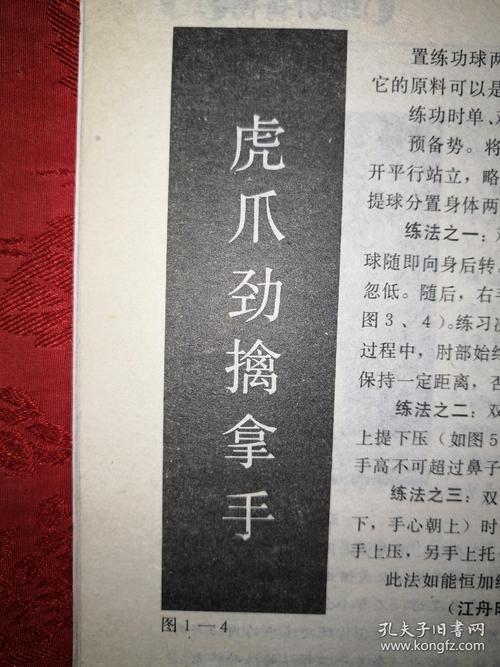 武魂蜀山太极最佳加点方案：输出还是辅助？