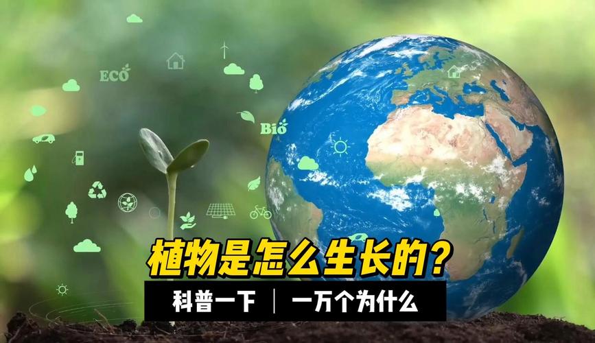 你知道世界上生长速度最快的植物吗？答案揭晓！