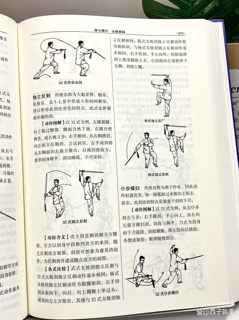 盾剑详解：从新手到高手，全面掌握盾剑技巧