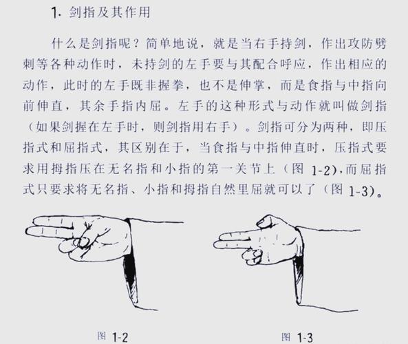 盾剑详解：从新手到高手，全面掌握盾剑技巧
