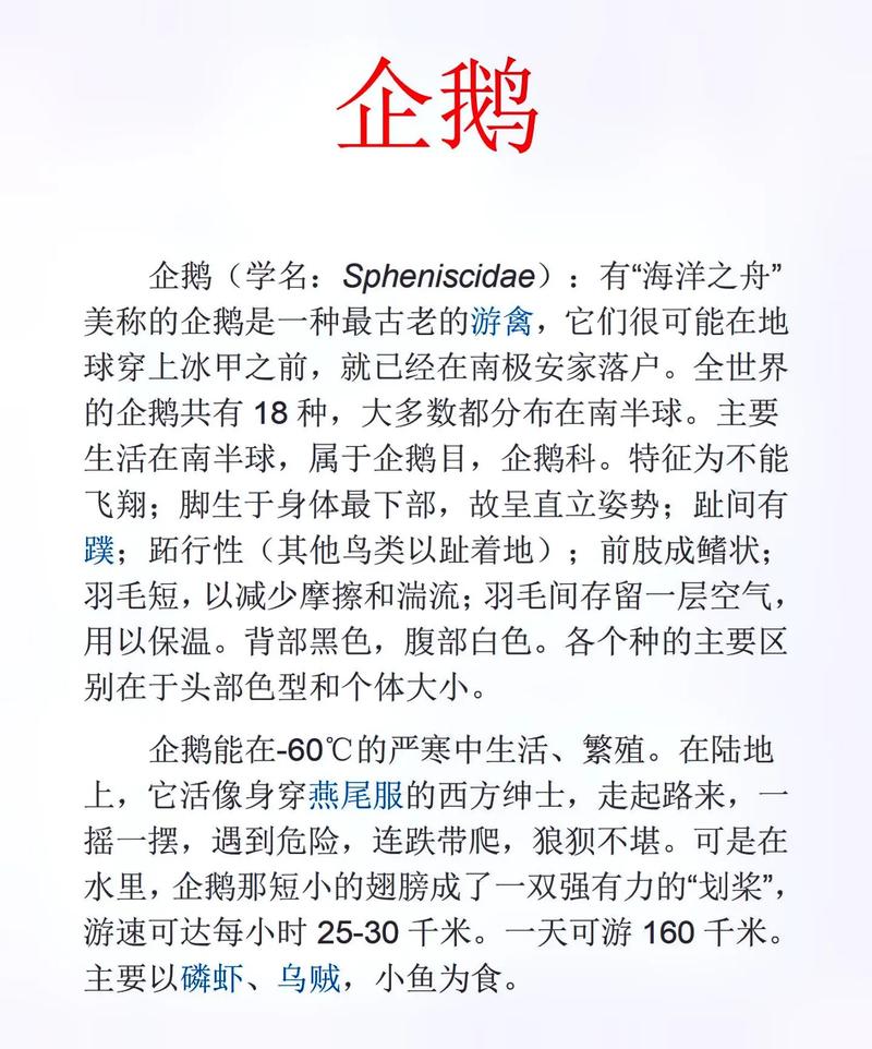 企鹅吃什么？不同种类企鹅食谱大不同