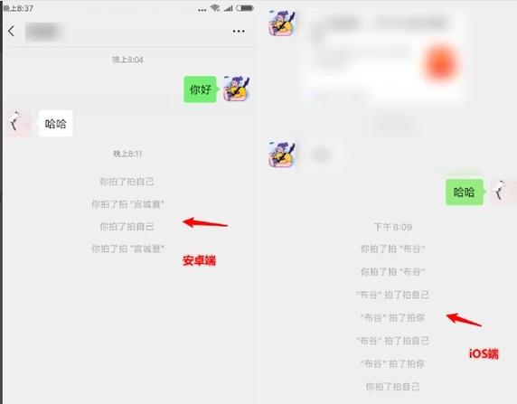 微信拍一拍如何添加有趣后缀？快速设置方法分享！