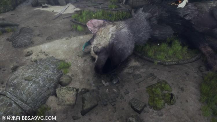 食人的大鹫Trico：它真的会吃人吗？