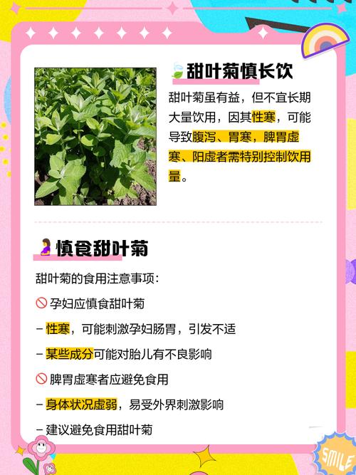 深入了解菊草叶：特性技能及弱点全面解读