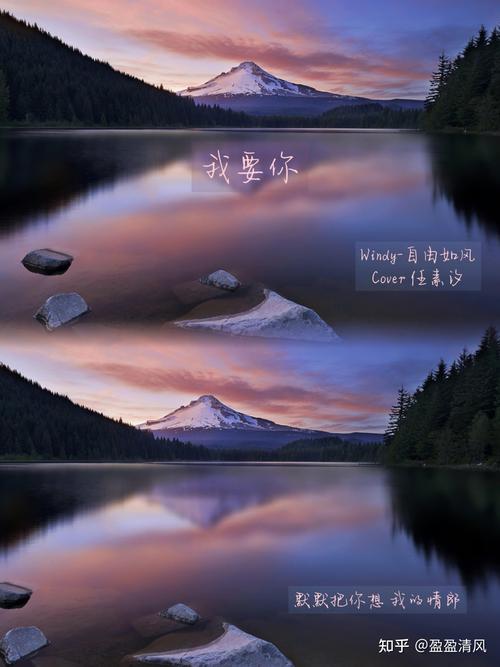 清风音乐下载：高品质音质，免费畅听无损