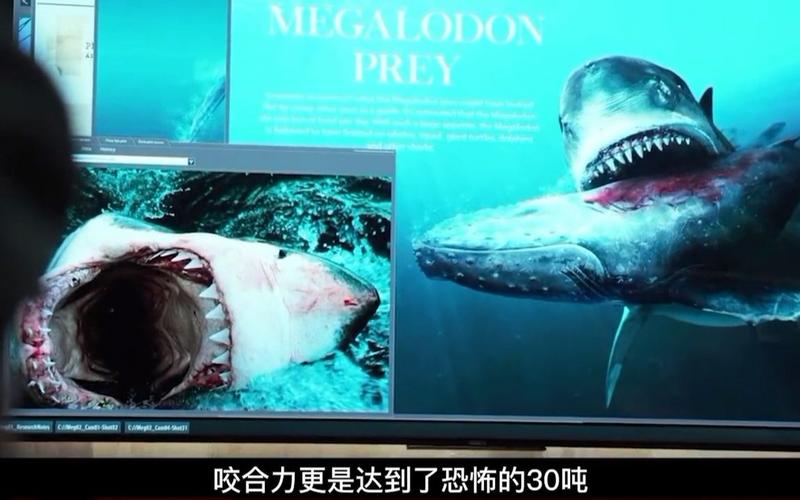 锯齿鲨有多可怕？揭秘巨齿鲨电影背后的真相