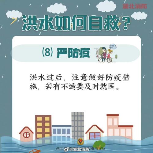 洪水来袭别慌张！蚂蚁庄园教你逃生求救妙招