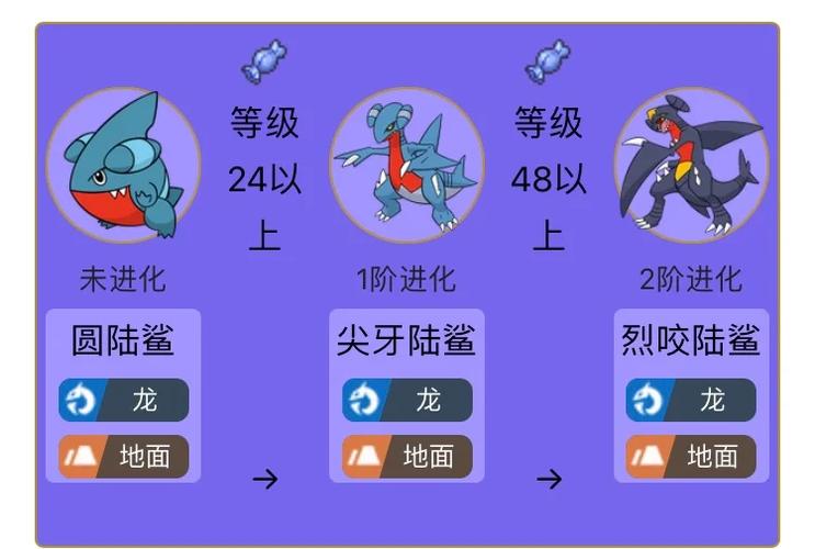 宠物小精灵珍珠版游戏玩法详解：新手入门必看指南