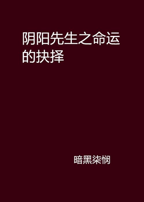 暗行者：一个中尉的谍战生涯与命运抉择