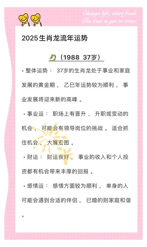 冬龙属龙人性格分析，运势如何？