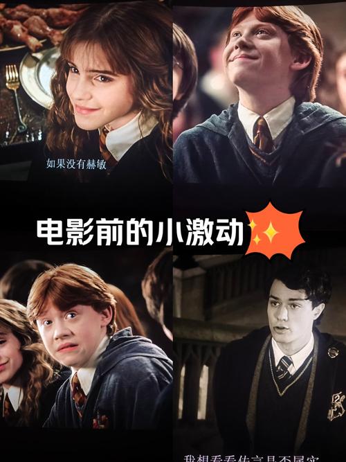 哈利波特与密室下载：快速观看魔法奇遇记