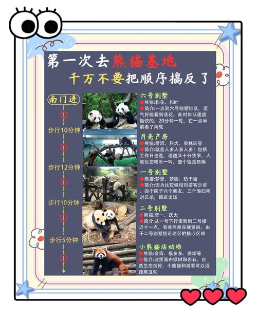 如何让你的熊猫人飞行？简单易懂的飞行指南