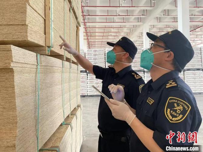 Paper Please中文版：海关检查员的严峻挑战