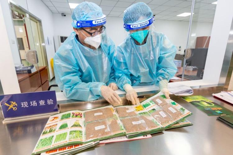 Paper Please中文版：海关检查员的严峻挑战