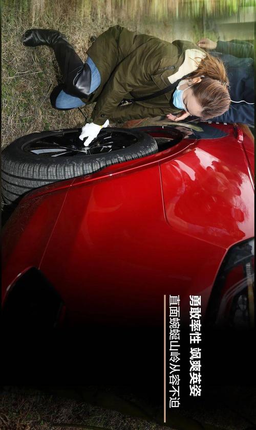僵尸危机6双人玩法详解：体验刺激的合作冒险