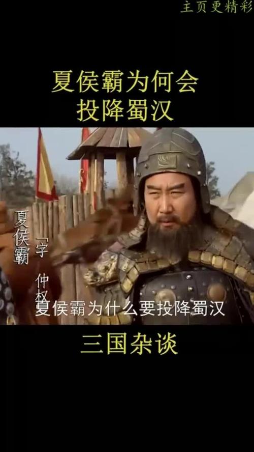 夏侯霸与蜀汉：一段鲜为人知的合作与贡献