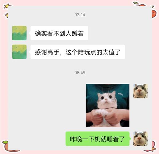 技术大神陪玩，带你体验游戏快感！