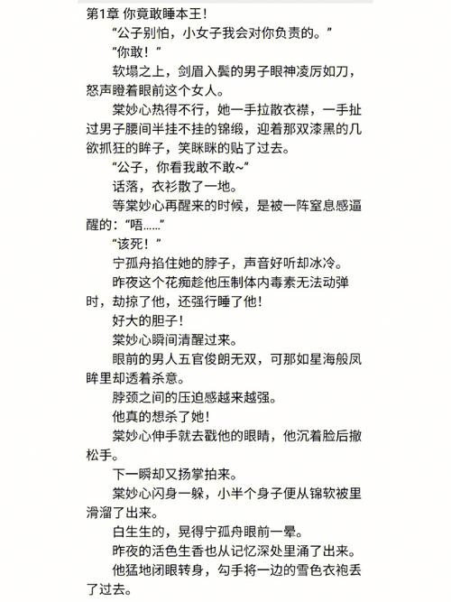 了解幻影疾风：小说简介及精彩片段抢先看