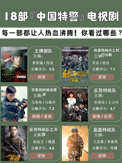 光荣使命之特战精英：剧情介绍及演员阵容大揭秘