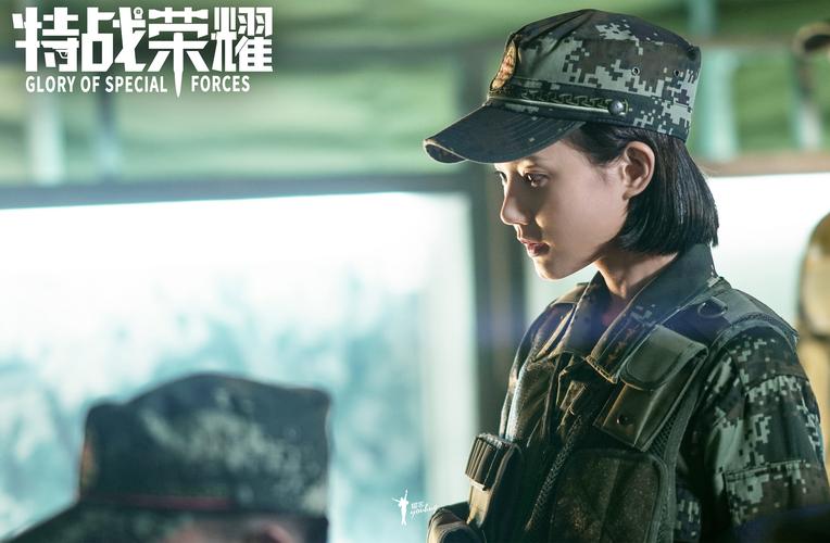 光荣使命之特战精英：剧情介绍及演员阵容大揭秘